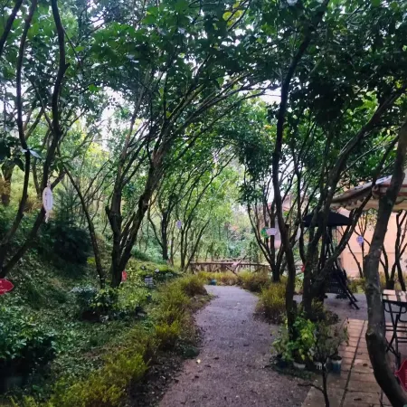 Wangjiang Homestay Отели в г. Лушань