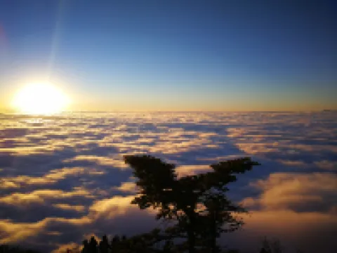 โรงแรมเมาท์ อี้เหมย เท็ดดี้ แบร์ โรงแรมในเอ๋อเหม่ยซาน