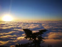 Teddy Bear Boutique Hotel Hotels in Emeishan