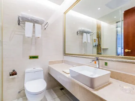 Vienna Hotel (Zhongshan Guzhen Lighting Expo Center)