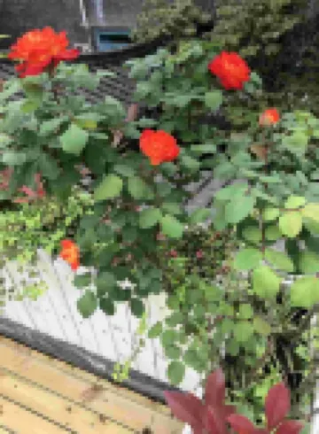 邛崍聚源度假酒店 鄰近平樂古鎮的酒店