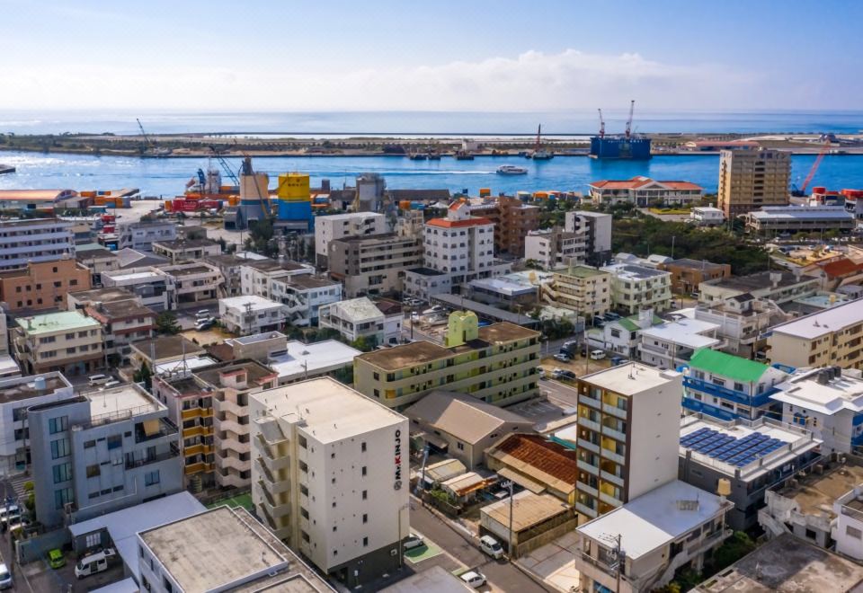 4. 미스터 .킨조 ..