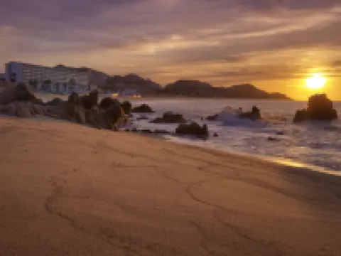 マーキス ロス カボス オールインクルーシブ リゾート＆スパ - アダルツオンリー ロス・カボスのホテル