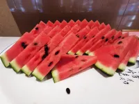 Milan Seasons Hotel - sarapan