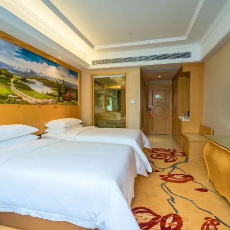 Vienna Hotel (Yidou Jiefang Mansion)