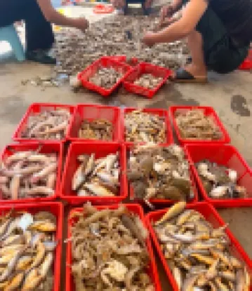 Cangnanhai Juke Seafood Building