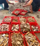 Cangnanhai Juke Seafood Building