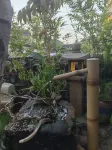 gongcheng xiandeju Homestay - Mountain view