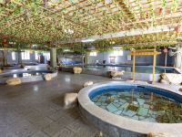 恩平山泉湾温泉酒店 - 室内游泳池