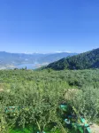 Hanyuan Wuxiang Wangyue Homestay Hotels in Hanyuan