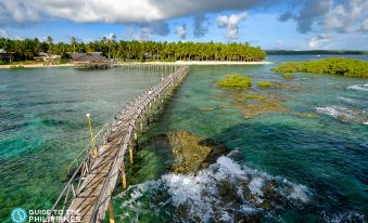 4. Malayah ..