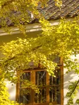 Zhenshan Qigu Homestay