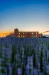 Huocheng Zhenxia Homestay (Huanghuang Village) Hotels in Huocheng