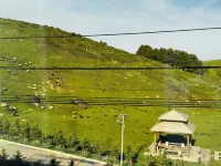 Nacuo Muqu Homestay - Pet-friendly