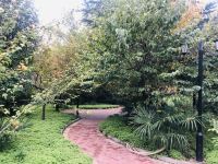 陇南泊悦宾馆 - 其他