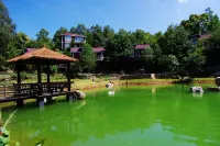 Jiuluzhai Scenic Area Wooden Villa Hotels in Baokang