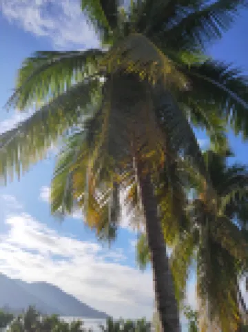 Lingshui Qianhai Qianxun Travel Rent