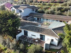 Olive Tree Homestay