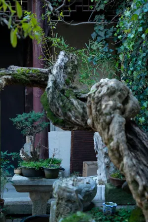 Jinxitang Homestay（Taihu Dongshan Store） Отели рядом с достопримечательностью «Ботанический сад Цзяньнан»