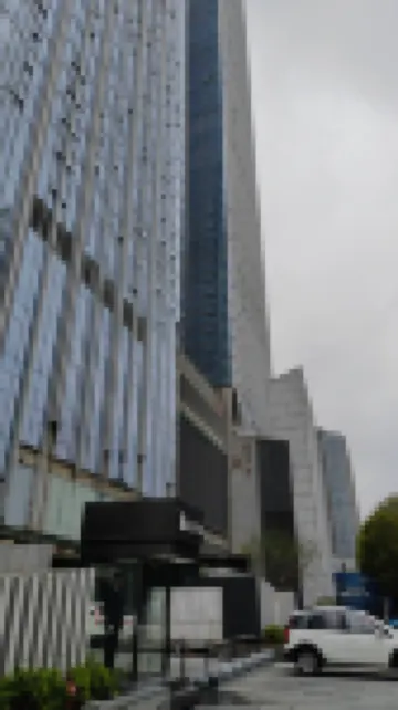 Luye Hotel (IFS, Changsha Wuyi Square)