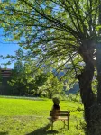 Senyu · Wood House B&B