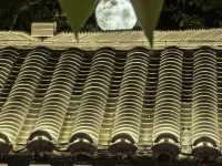 Zhenyuan Jiangshanju · Jiangshang Chunshan Scenic Homestay Hotels in Zhenyuan County