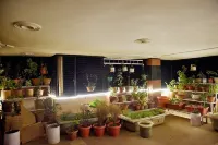 The Bodhi Tree Bnb