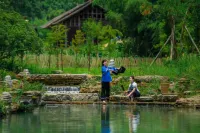 Meet Xilan Karp (Longshan Jabala Scenic Area) - 마운틴 뷰