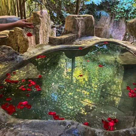 Dianchi Garden Resort Hotel & Spa