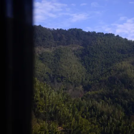 Tuolong Qingshe Wild Luxury Homestay