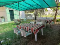 Olive House Hotel Hotels in 