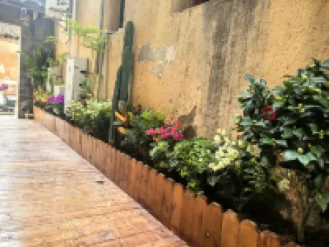 花築·撫桐民宿（泉州古城西街店） 泉州酒店