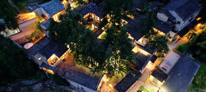 47 Tree Inn Hotels in Pingnan