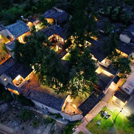 47 Tree Inn