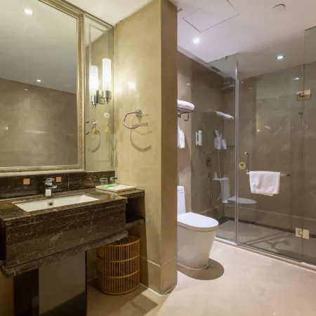Vienna Classic Hotel (Hefei Shushan)