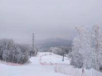 万科松花湖青山Jenny雪景公寓 - 其他