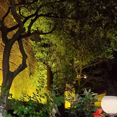 Fenghuang Qianyuan Teahouse Homestay