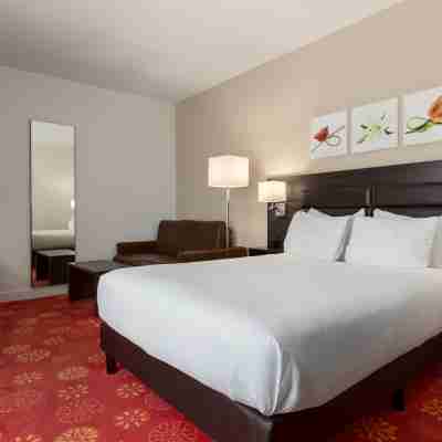 Hilton Garden Inn Leiden Rooms