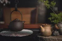 Tengchong Wushi B&B
