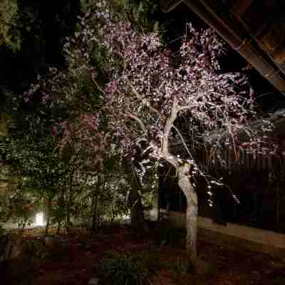 LOQUAT 西伊豆 Hotel Exterior