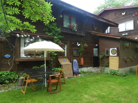 Pension Snowfall Meteor