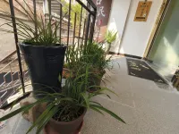 Ancient Street Homestay Hotels near Jiuwen Mountain