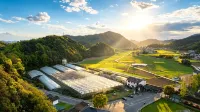 大隱熊貓｜Panda Valley 採摘民宿（富陽千年銀杏森林公園店）