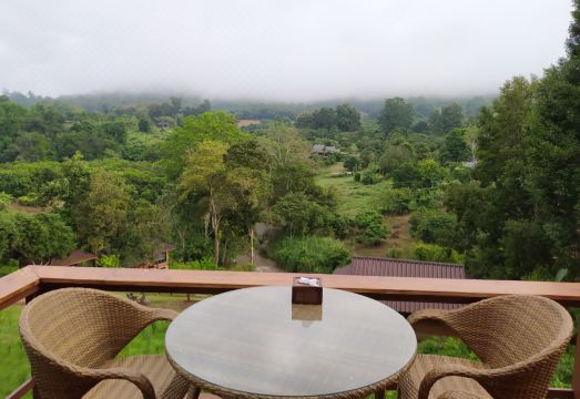 2. 치앙마이 엘리펀..