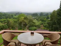 Chiang Mai Elephant Friends