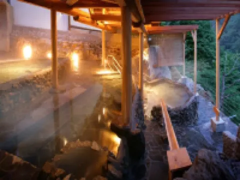 Ookawaso Hotels in Aizuwakamatsu