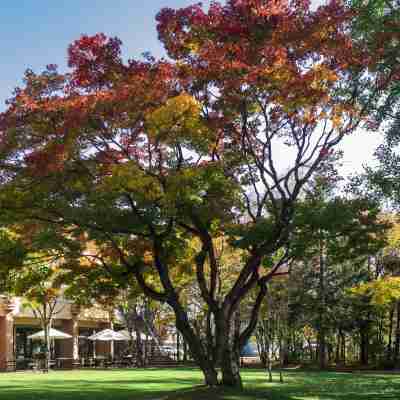 森のスパリゾート 北海道ホテル Hotel Exterior