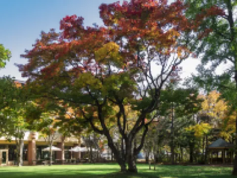 Forest Spa Resort Hokkaido Hotel Hotels in Obihiro