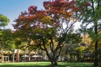 Forest Spa Resort Hokkaido Hotel Hotels in 