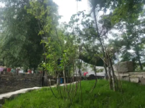 迷霧雙楓民宿（杭州指南村店） 鄰近古井漣漪的酒店